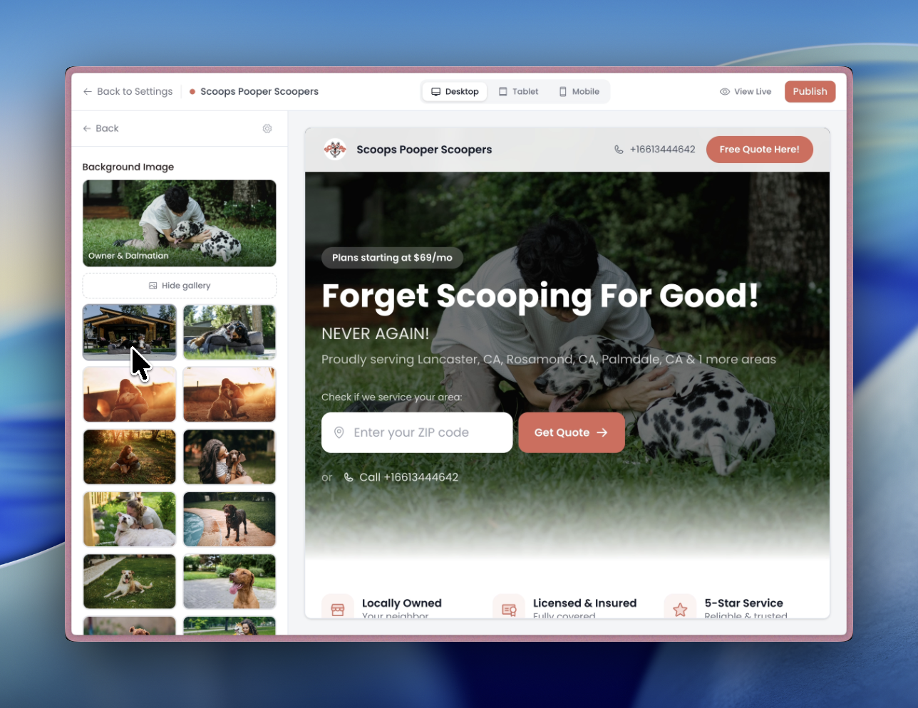 Hero image gallery with stock photos of dogs in backyards