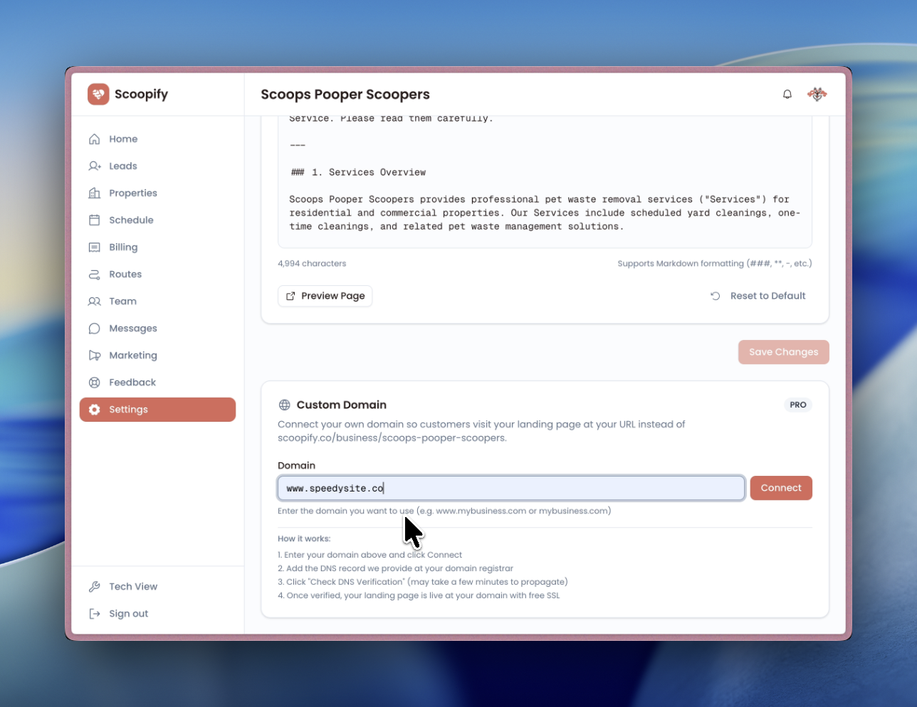 Custom domain showing pending DNS verification with A and CNAME record details