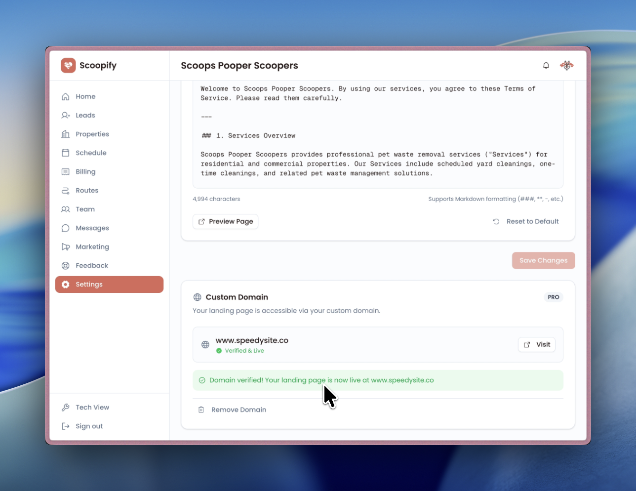 Scoopify showing domain verified after DNS check