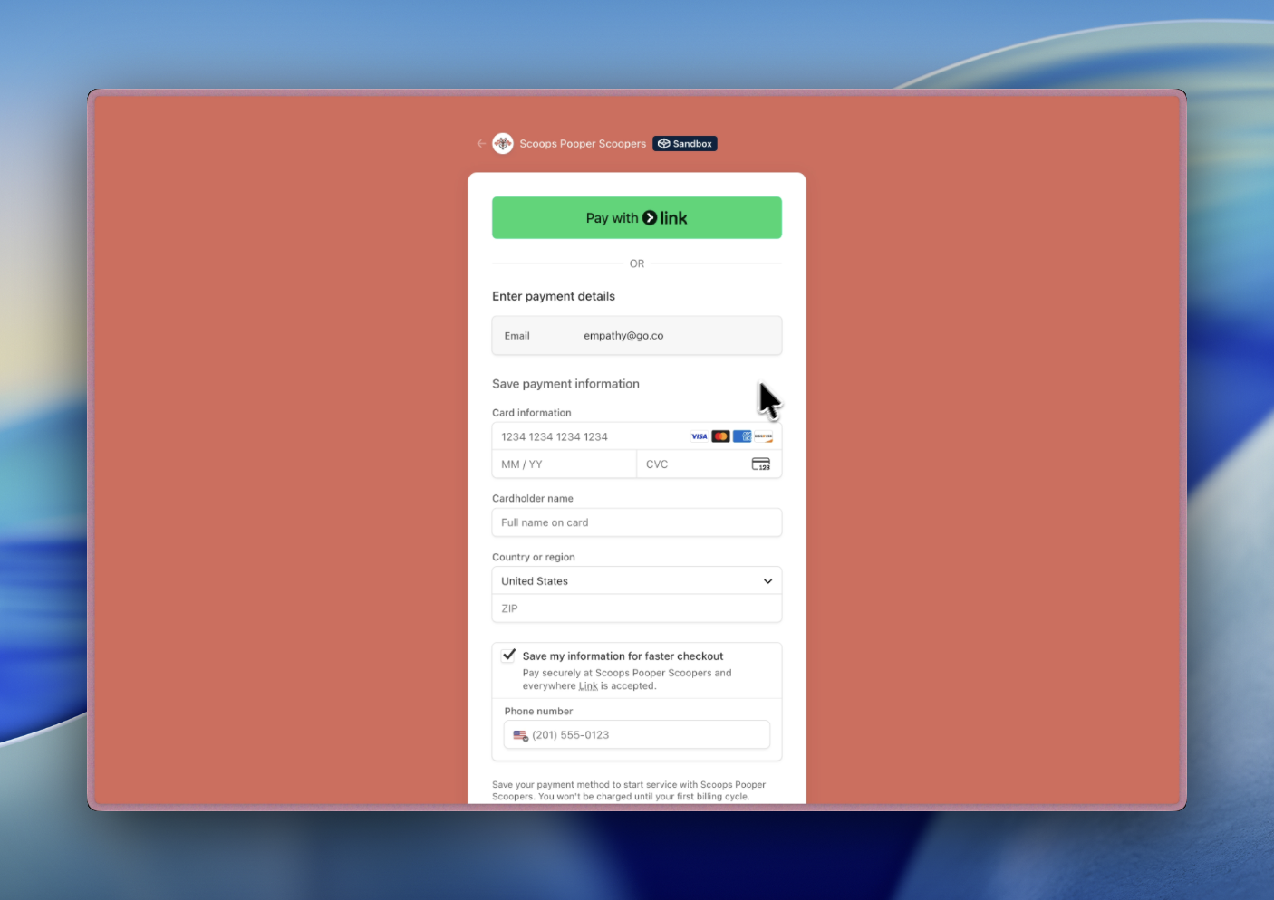 Stripe-hosted payment page branded with business logo and colors