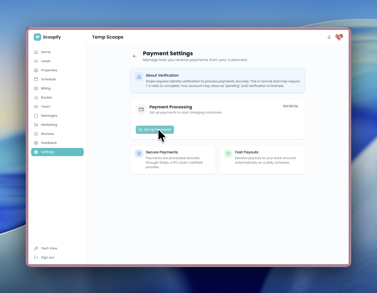 Payment Processing settings page with Setup Payments button
