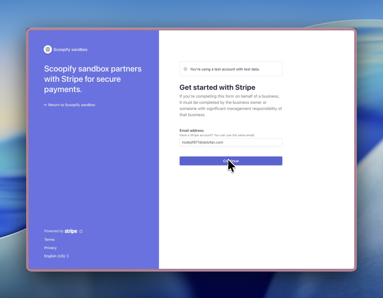 Stripe onboarding email and password entry