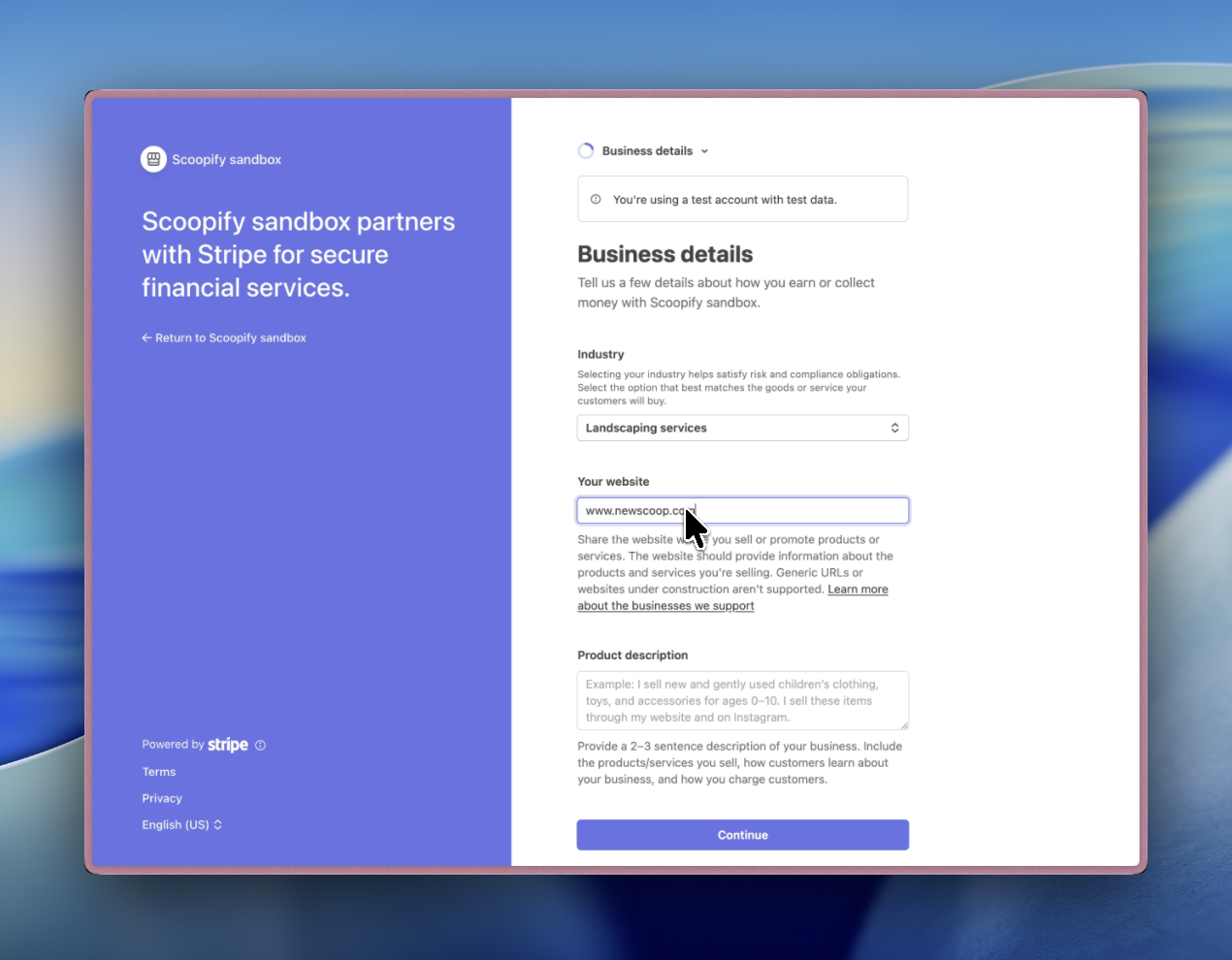 Stripe website URL and business description fields