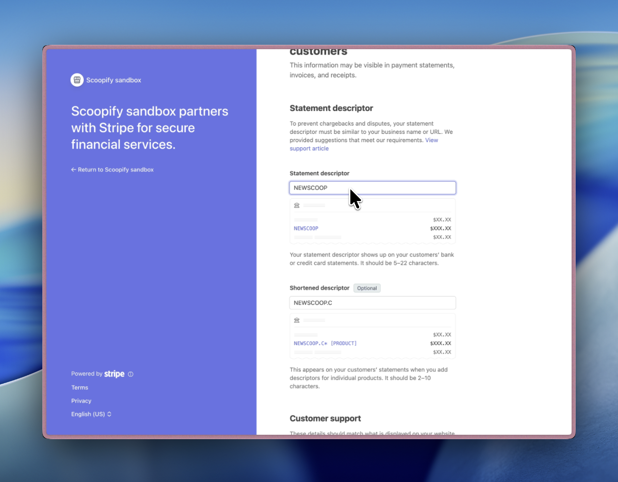 Statement descriptor and customer support information fields