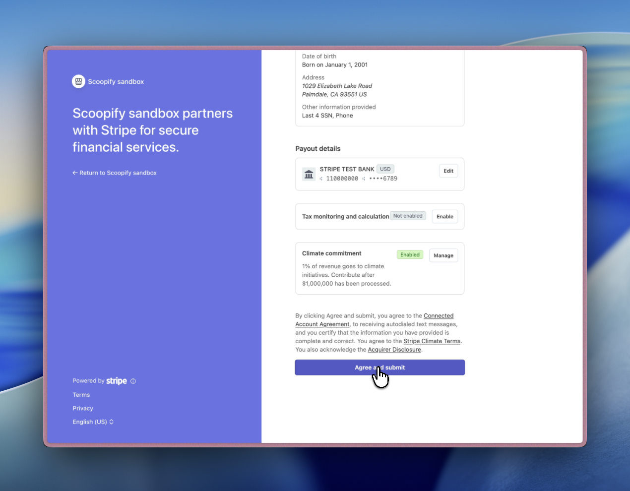 Stripe final review and confirmation page